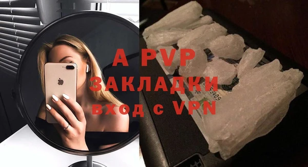 ешки Пересвет