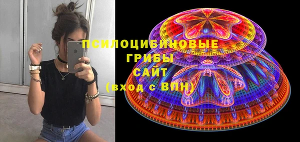бошки Осинники