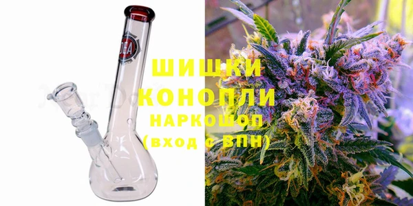 бошки Осинники