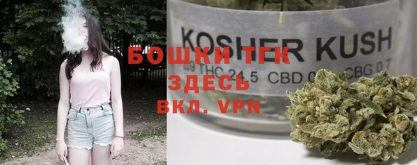 бошки Осинники